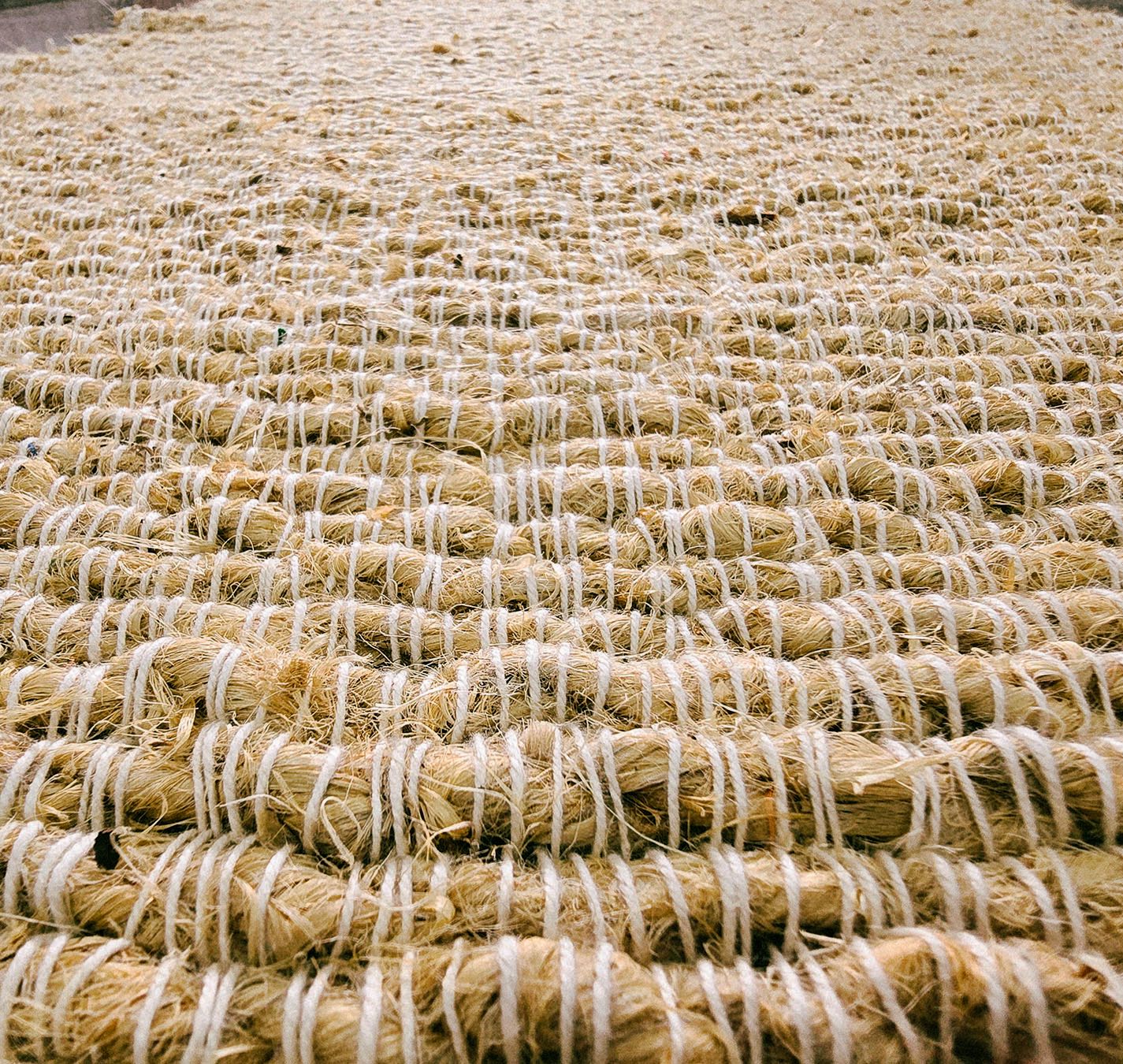 Bhimal acupressure mat Closeup of Handmade acupressure mat made of Bhimal fibre