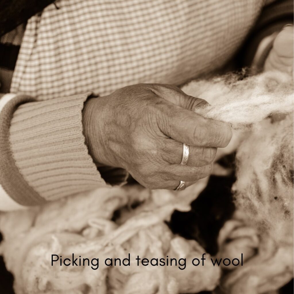 picking and teasing of wool 2