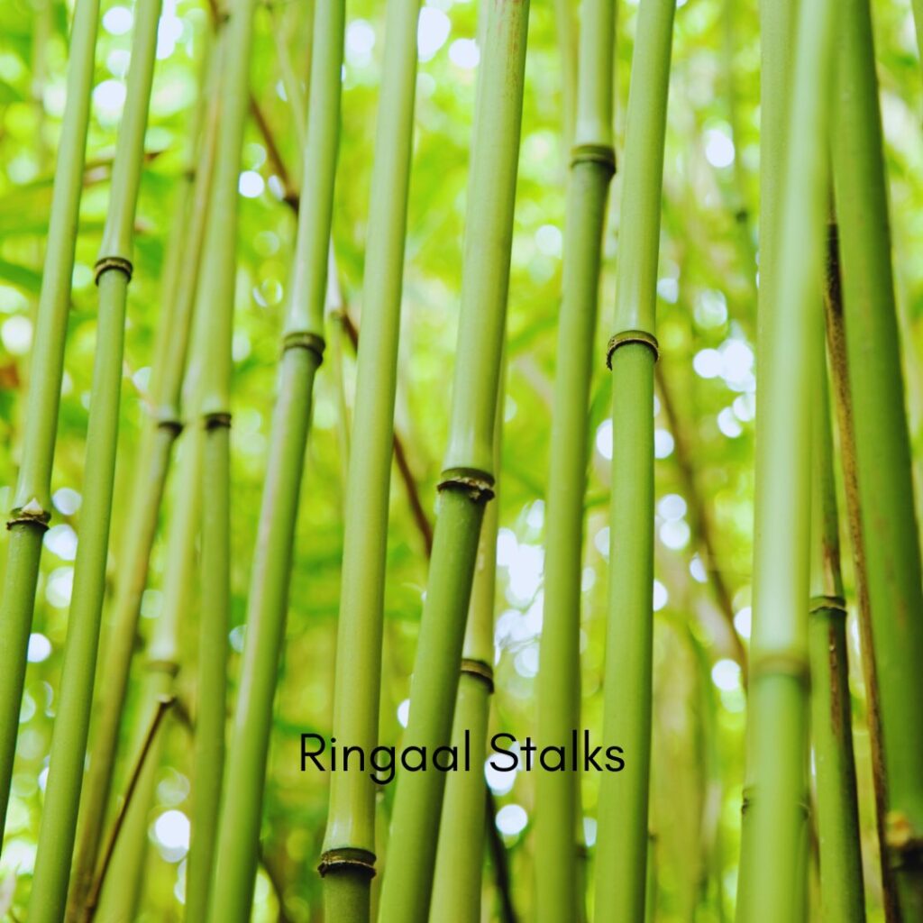 picking and teasing of wool 4