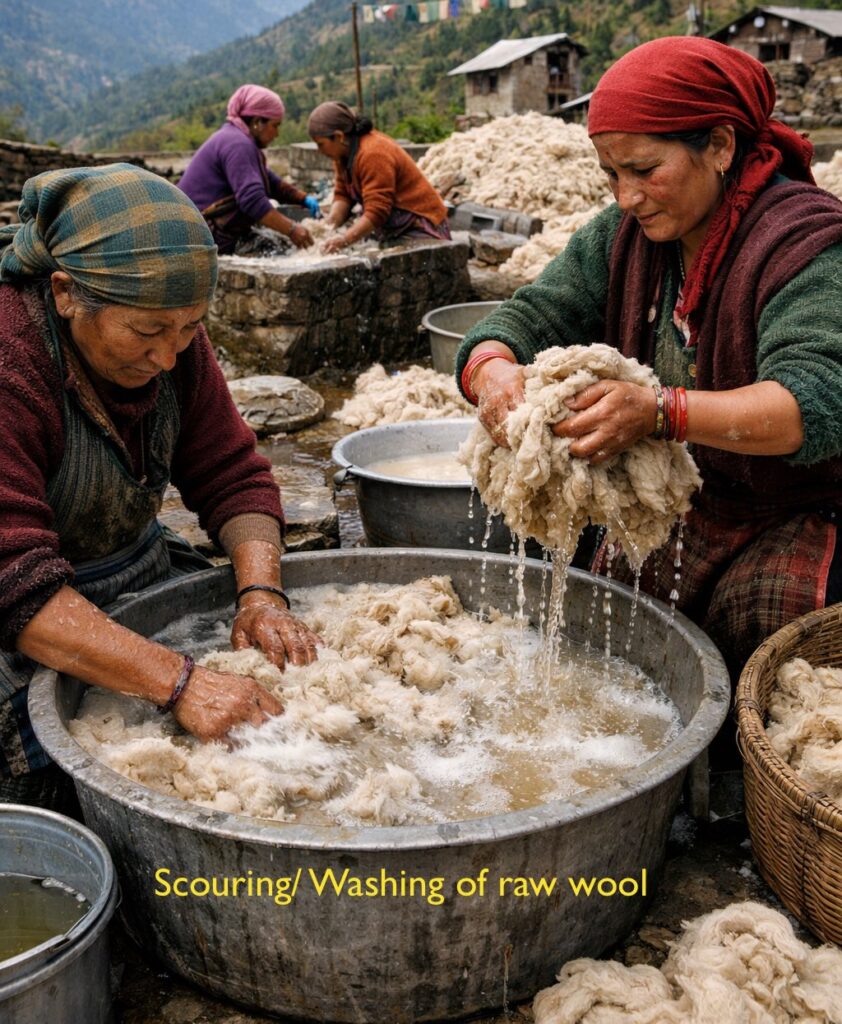 washing raw wool
